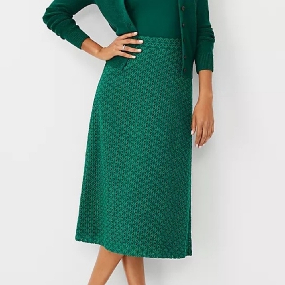 NWT Ann Taylor Green Eyelet A-Line Skirt
